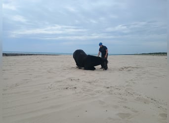 Praktikantenstelle