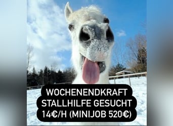  Minijob 520€ Stallhilfe Wochenendkraft Hilfskraft gesucht!