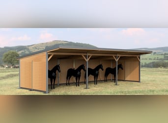 Caseta de pasto y box de paddock, refugio para caballos | Refugio para pasto ideal para sus caballos