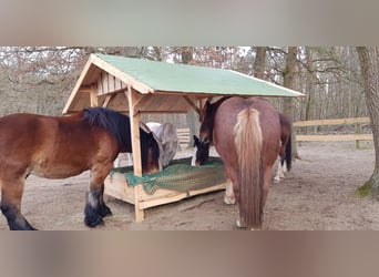 Handgefertigte Heuraufe aus Holz