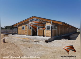 Stallungen - Pferdestall bauen, Außenbox, Pferdebox und Offenstall, Weidehütte Pferde, Unterstand