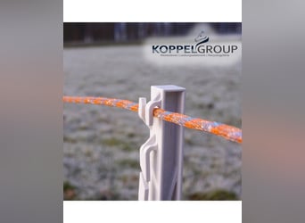 Cuerda de cercado premium de 6 mm para caballos, 500 m, color naranja