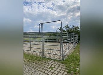 Paddock-/Weidepanel zu vermieten 