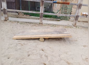 Columpio para caballos