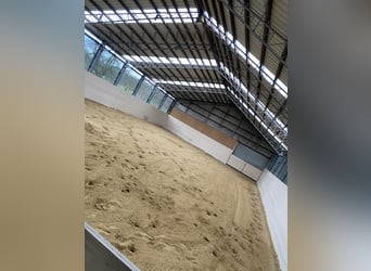 Arena de arena de cuarzo