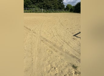 Arena de arena para equitación Kirchhellen