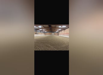 Suelo para pista cubierta