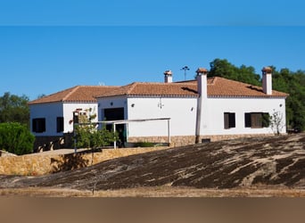 FULLY EQUIPPED COUNTRY HOUSE WITH SWIMMING POOL