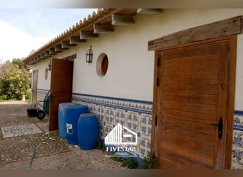 HOCHWERTIGES, GROSSES LANDHAUS MIT PFERDEBOXEN IM WUNDERSCHÖNEN VALENCIA