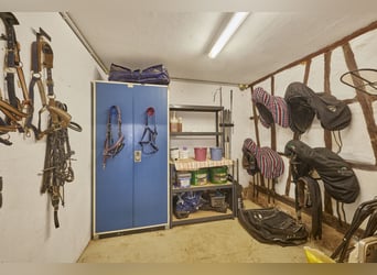 Pferdeimmobilie im Schwarzwald mit neuer Reithalle & Privatstallungen