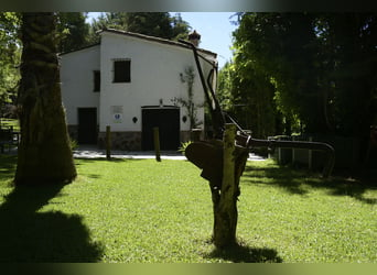 SOUTH OF SPAIN. HORSEFARM AND RURAL HOUSE 