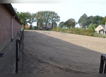 Te huur aangeboden een professionele paarden manege/complex