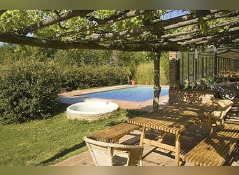 VERY NICE PROPERTY IN THE SOUTH OF SPAIN. NEAR SEVILLA .