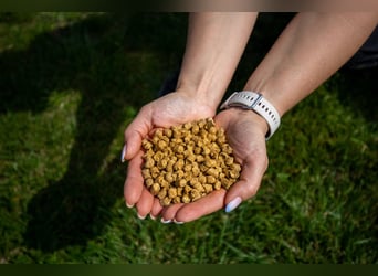 Strohpellet - pellet ze słomy- ściółka dla Koni