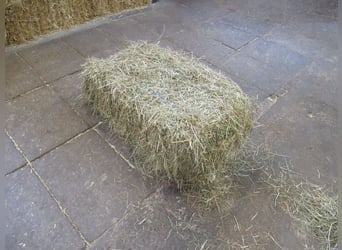 Kleinballen Heu Ernte 22/23