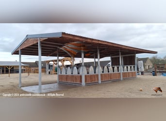 Futter & Heuraufe, Pferderaufe und Fressgitter | TOP-ACTIVE Fressgitter für die Pferdehaltung