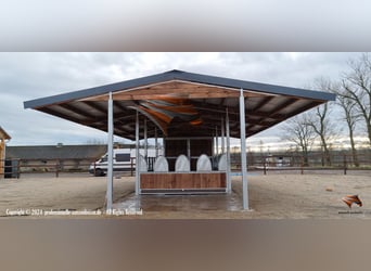 Futter & Heuraufe, Pferderaufe und Fressgitter | TOP-ACTIVE Fressgitter für die Pferdehaltung