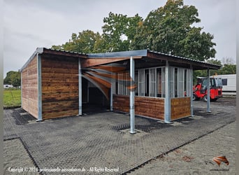 Futter & Heuraufe, Pferderaufe und Fressgitter | TOP-ACTIVE Fressgitter für die Pferdehaltung