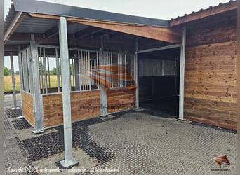 Futter & Heuraufe, Pferderaufe und Fressgitter | TOP-ACTIVE Fressgitter für die Pferdehaltung