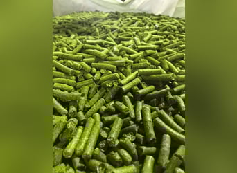 Cabezadas de heno regionales, cabezas de alfalfa, pellets de heno, pellets de alfalfa, cobs, pellets