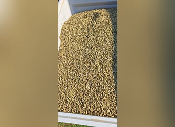 Luzerne-Cobs en venta: una excelente opción como complemento de forraje (cantidad total aproximadame