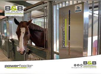 Nuevo alimentador automático de pienso programable - Ración estándar - Para caballos mayores - Alfal