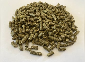 Alfalfa pellets Big Bag ( 1 tona ) 