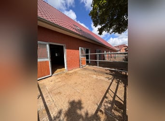 Box disponible - Pensión completa - Instalaciones ecuestres para alojamiento de caballos