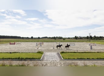 Boxen disponibles en un complejo de primera en Mecklenburg - ¡Nueva construcción!