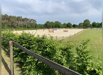 Boxen (-trakt) auf Top Sportanlage zu vermieten