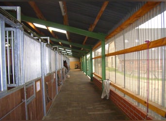 ¡Boxes de caballos disponibles en la finca Braaklander cerca de Neerstedt!