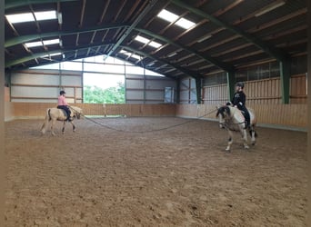 ¡Boxes de caballos disponibles en la finca Braaklander cerca de Neerstedt!