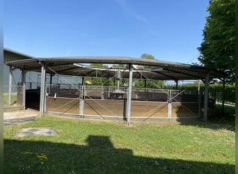 Lugar para establar en una cuadra de alto nivel para deportes ecuestres disponible