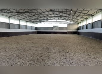 Lugar para establar en una cuadra de alto nivel para deportes ecuestres disponible