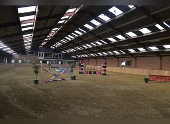 Te huur aangeboden een professionele paarden manege/complex/stallen