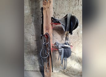 ¡Vaga de estacionamiento disponible en la granja!