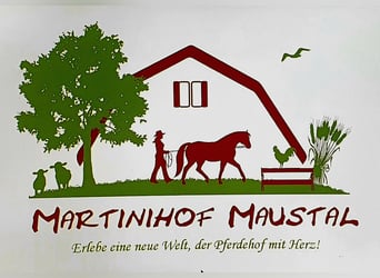 Freie Einstellplätze/Boxen in Wallachherde 