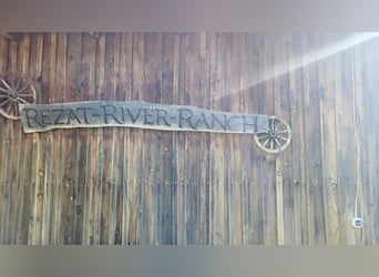 Offenstallplatz in 91187