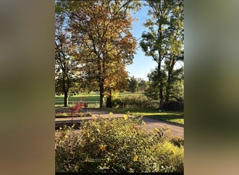 Plaza para pensionista en establo privado disponible ❤️