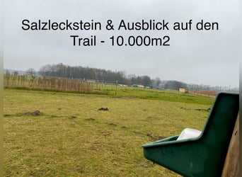 Trail - Offenstall - Selbstversorger