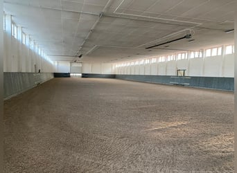 Box de pensión para caballos, box para caballos, pensión ecuestre, pista cubierta de doma