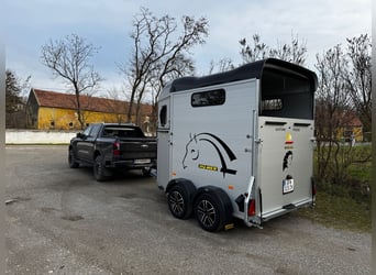 Einstellplätze am Islandpferdehof Reitzentrum Gut Sachsengang bei Wien