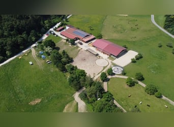 Paddock, Außen und Innenbox frei