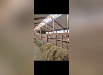 Pequeña comunidad de establos