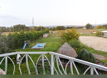 Guesthouse with a horse stable for sale in the city of waters, Tata (Hungary)