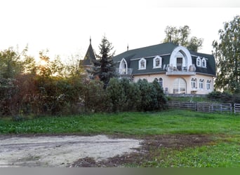 Guesthouse with a horse stable for sale in the city of waters, Tata (Hungary)