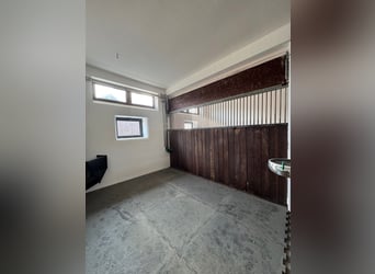 16 Pferdeboxen in sehr gutem Zustand