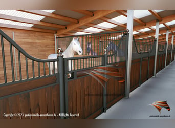 Boxes y establos | Frentes de box y separadores - Accesorios para la construcción de establos equino