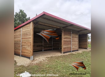 Construcción de establo abierto y refugio para caballos, refugio para pasto – caseta para caballos