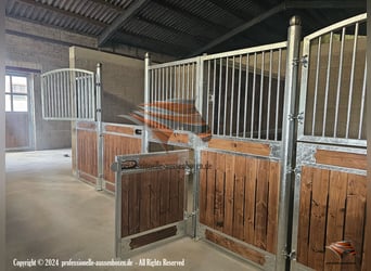Establo y boxes para caballos, box de establo | Frente de box y tabiques - Construcción de caballeri